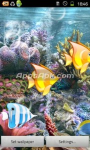 Fish Live Wallpaper