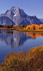 480x800-wallpaper_AppsApk (41)