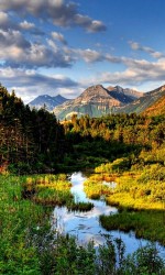 480x800-wallpaper_AppsApk (45)