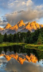 480x800-wallpaper_AppsApk (46)