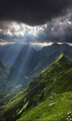 480x800-wallpaper_AppsApk (49)