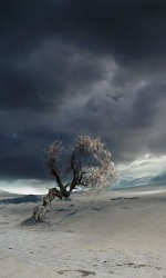 480x800-wallpaper_AppsApk (71)