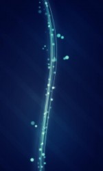 480x800-wallpaper_AppsApk (78)