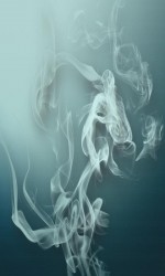 480x800-wallpaper_AppsApk (95)