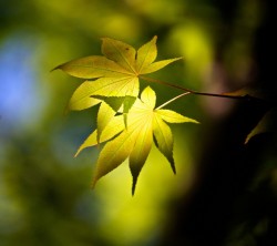 2160x1920-Wallpapers_AppsAPK_ (112)