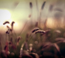 2160x1920-Wallpapers_AppsAPK_ (124)