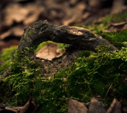 2160x1920-Wallpapers_AppsAPK_ (128)