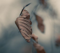2160x1920-Wallpapers_AppsAPK_ (129)