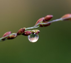2160x1920-Wallpapers_AppsAPK_ (144)