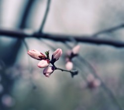 2160x1920-Wallpapers_AppsAPK_ (148)
