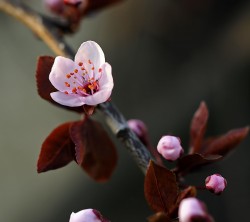 2160x1920-Wallpapers_AppsAPK_ (152)