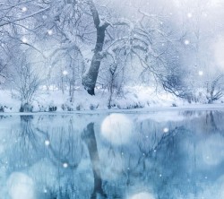 2160x1920-Wallpapers_AppsAPK_ (162)