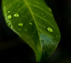 2160x1920-Wallpapers_AppsAPK_ (168)