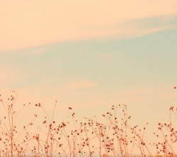 2160x1920-Wallpapers_AppsAPK_ (170)
