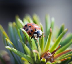 2160x1920-Wallpapers_AppsAPK_ (182)