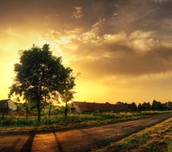 Android-Wallpaper_1080x960_AppsApk_ (437)