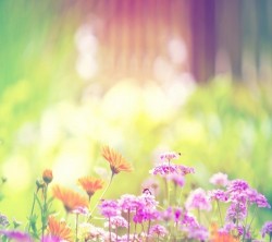 Android_Wallpaper_1440x1280_AppsApk (607)