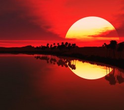 Android_Wallpaper_1440x1280_AppsApk (617)