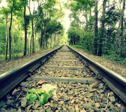 Android_Wallpaper_1440x1280_AppsApk (625)