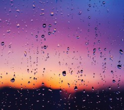 Android_Wallpaper_1440x1280_AppsApk (629)