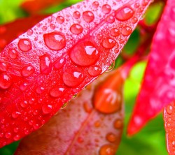 Android_Wallpaper_1440x1280_AppsApk (631)
