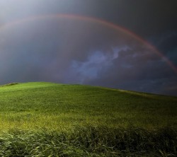 Android_Wallpaper_1440x1280_AppsApk (638)