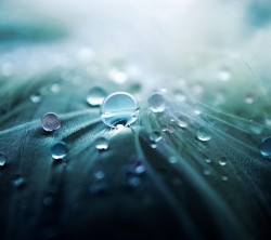 Android_Wallpaper_1440x1280_AppsApk (666)