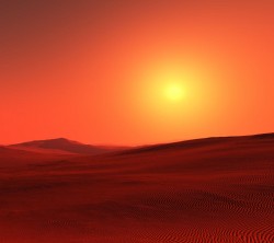 Android_Wallpaper_1440x1280_AppsApk (670)