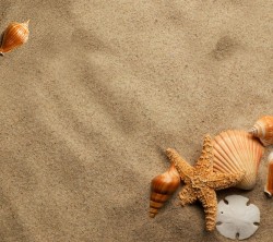 Android_Wallpaper_1440x1280_AppsApk (672)