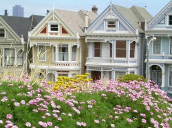 Android_Wallpaper_1440x1280_AppsApk (674)