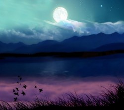 Android_Wallpaper_1440x1280_AppsApk (676)