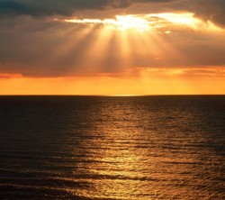 Android_Wallpaper_1440x1280_AppsApk (678)