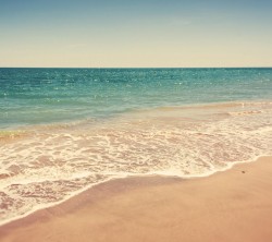Android_Wallpaper_1440x1280_AppsApk (680)