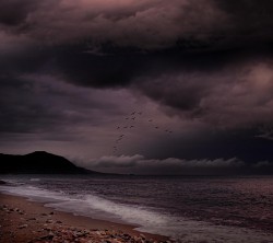 Android_Wallpaper_1440x1280_AppsApk (681)
