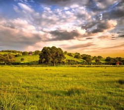Android_Wallpaper_1440x1280_AppsApk (682)