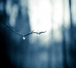 Android_Wallpaper_1440x1280_AppsApk (684)