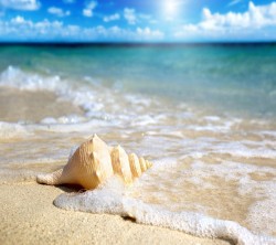Android_Wallpaper_1440x1280_AppsApk (685)