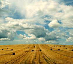 Android_Wallpaper_1440x1280_AppsApk (692)