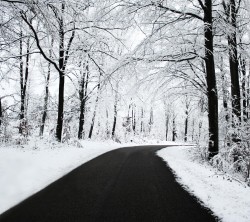 Android_Wallpaper_1440x1280_AppsApk (697)