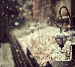 Android_Wallpaper_1440x1280_AppsApk (701)