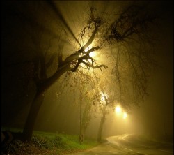Android_Wallpaper_1440x1280_AppsApk (703)