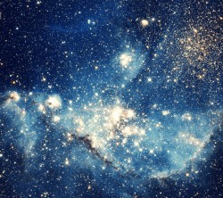 Android_Wallpaper_1440x1280_AppsApk (706)