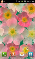 Roses Live Wallpaper