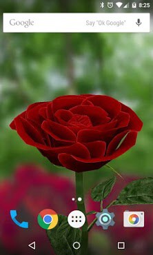3d Rose Live Wallpaper Free Apk Download For Android