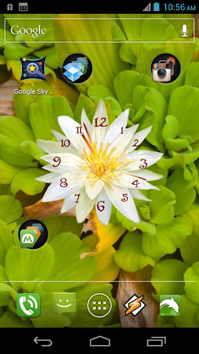 Flower Clock Live Wallpaper | APK Download For Android