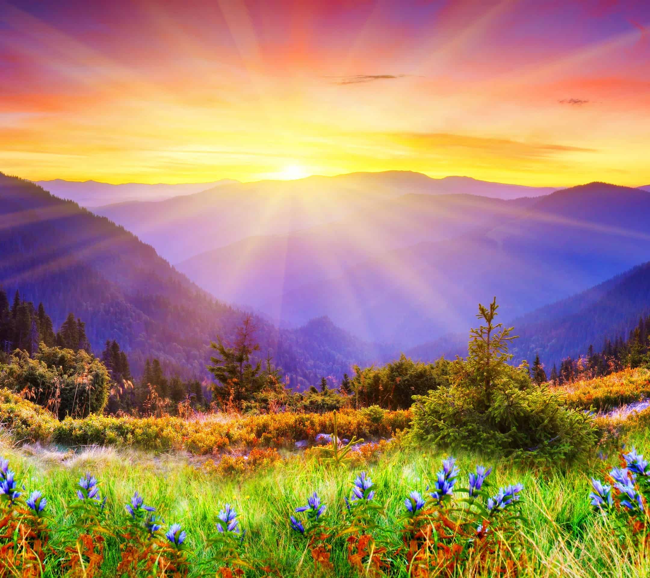 Free Wallpapers For Android All Wallpapers For Android Apps APK
