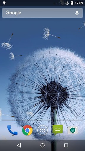 Dandelion Live Wallpaper APK for android | APK Download for Android