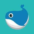 icon of com.bluewhale.vpn.shadowsocks