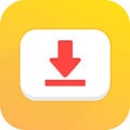 icon of com.video.thumbnail.downloader