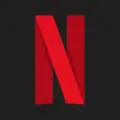 Netflix - entertainment app by Netflix, Inc. (Android APK)